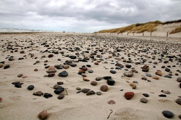 Strand am Darßer Ort
