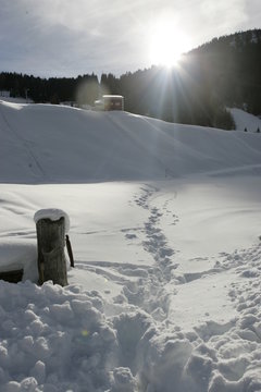 Ein Pfad durch den Schnee in den Alpen