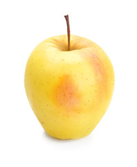 yellow apple on a white background.