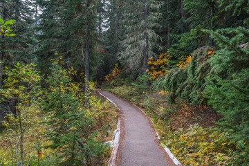 Rainy Lake Hiking Trail in Mountain Forest in Autumn