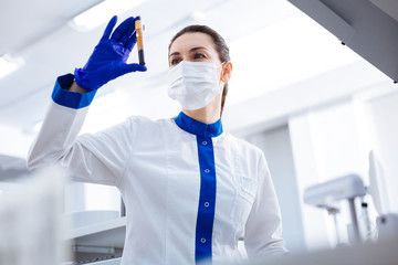 Fototapeta premium HIV test. Elegant professional female intern wearing mask while rising vial with blood and looking at it