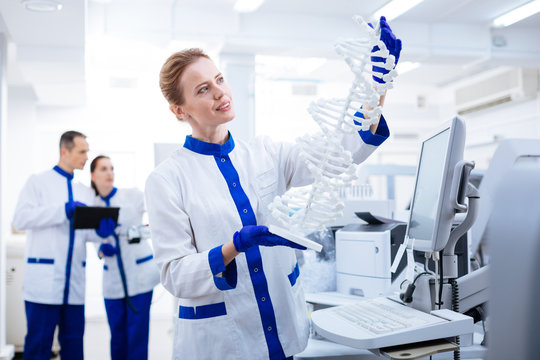 DNA structure. Beautiful reflective  female  researcher carrying DNA model and studying it  while wearing labcoat