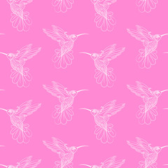 Fototapeta na wymiar Vector seamless pattern with hummingbirds, colibri. Texture for wallpapers, textile design, web page backgrounds