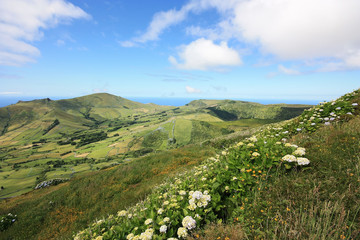 

Im Landesinneren der Insel Flores,  der portugiesischen Inselgruppe der Azoren im Atlantik. 
