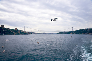  Fatih Sultan Mehmet Bridge connects two banks in Istanbul