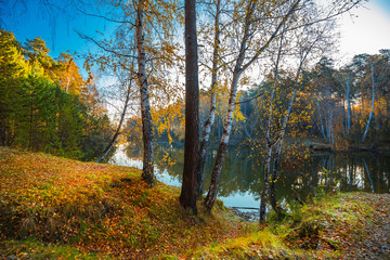 Fototapeta premium Autumn landscape on the river. Siberia, Russia