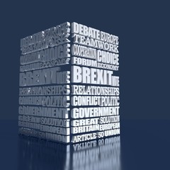 Words cloud relative to politic situation between Great Britain and European Union. Brexit named politic process. 3D rendering