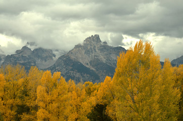 Fototapeta premium Grand Teton on a rainy fall day