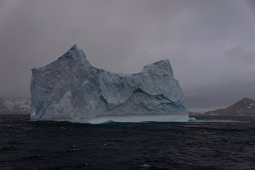 Iceberg