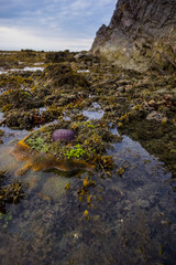Sunrise at low tide sea