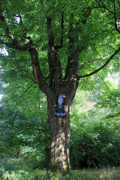 Zwergenweg Wanderweg an der Schaumburg