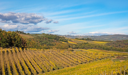 La magia dell'autunno © quinty76