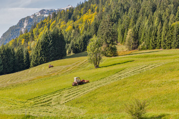 Obraz premium tractor mowing grass on an alpine lawn