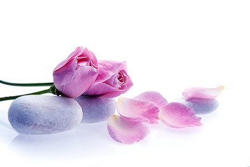 spa de flores aislado