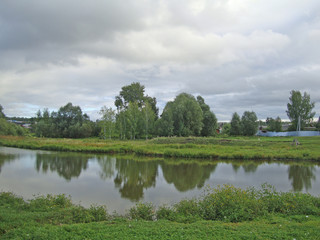 Fototapeta na wymiar rural pond with green grass and trees under a cloudy sky