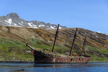 Wreck of sailing ship