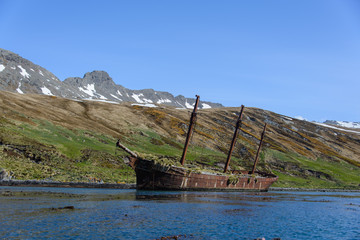 Wreck of sailing ship