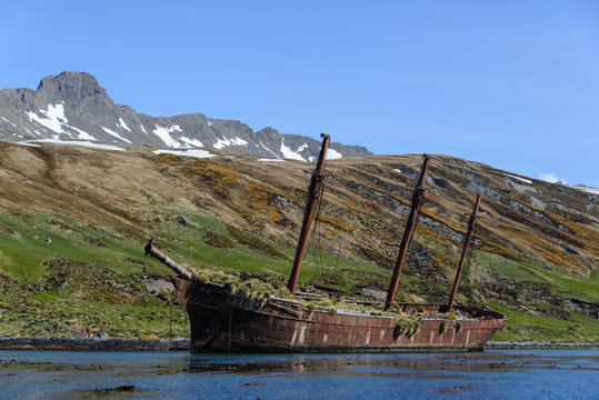 Wreck of sailing ship