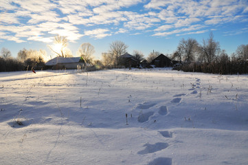 Fototapeta na wymiar Early frosty morning in small ukrainian village. Winter scenery. Small country house in Ukraine.