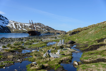 South Georgia landscape Ocean Harbour