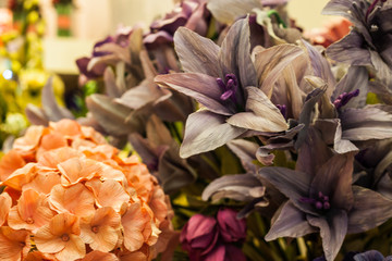 colorfull flowers beautiful floral blossom garden spring petal bloom