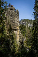 a rock galloping among coniferous trees in the Adrspach rocks