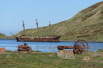 Bayard wreck in Ocean harbour on South Georgia