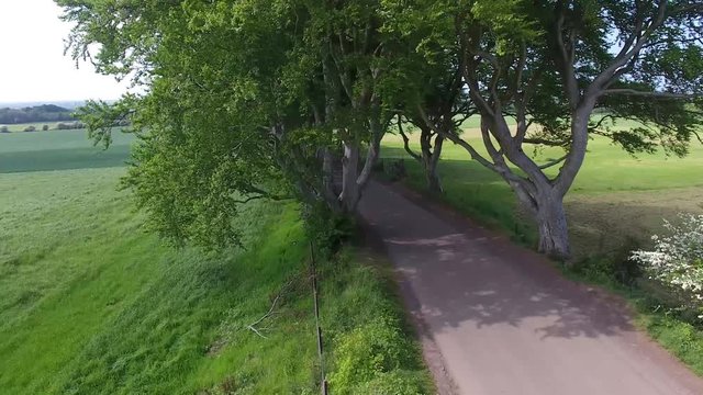 'The Dark Hedges&rsquo; Armoy Northern Ireland 