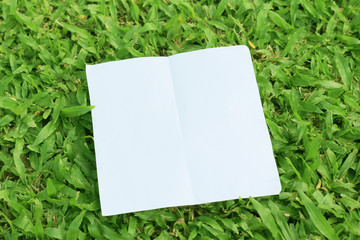 Empty paper sheet on green grass blur nature background.