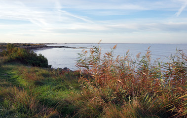  Baie de Marennes-Oléron