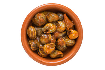 Snails with tomato sauce in clay pot. White isolated.