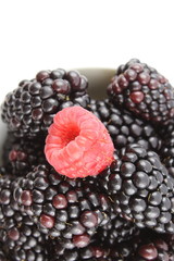 fresh blackberry and red raspberry fruits in a small white bowl