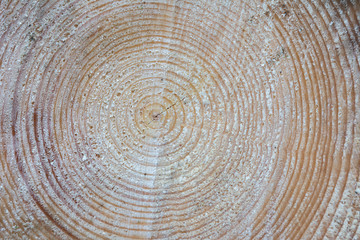 Holzhintergrund mit Struktur un Lebensjahren 