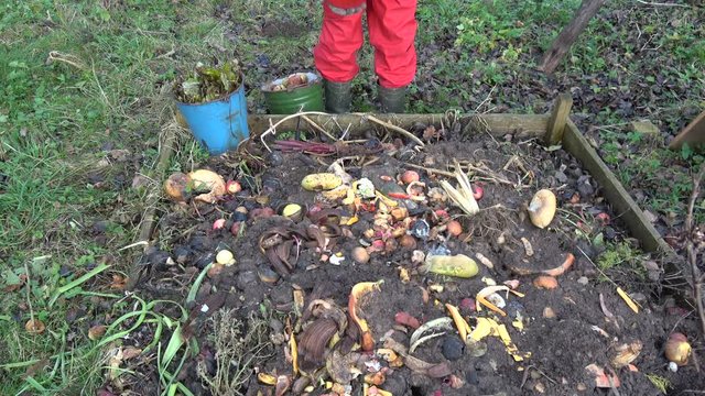 Farmer gardener pour vegetable and fruits waste in compost heap