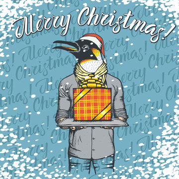 Vector illustration of penguin on Christmas with gift