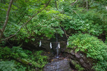 Obraz premium 森の中の滝