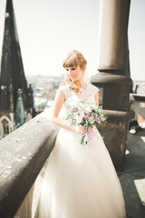 Beautiful luxury bride on the balcony with perfect landscape