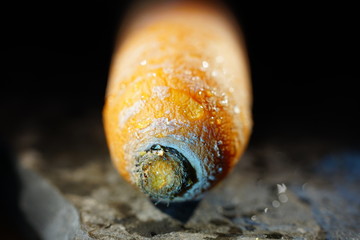 Karotte in Längsansicht