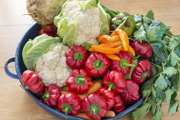 autumn vegetables ,carrots, cauliflower ,bell peppers and celery