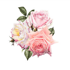 Bouquet of roses, watercolor, can be used as greeting card, invitation card for wedding, birthday and other holiday and  summer background.