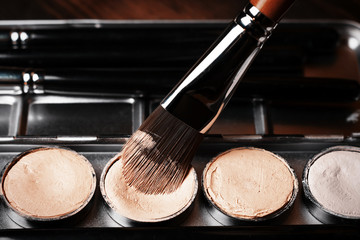 Brush and cream concealer. Professional cosmetic. Cream concealer.