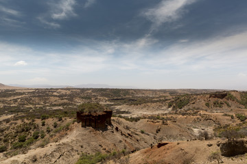 Tansania - Wüste, Savanne, Steppe, Weite... Wildnis!
