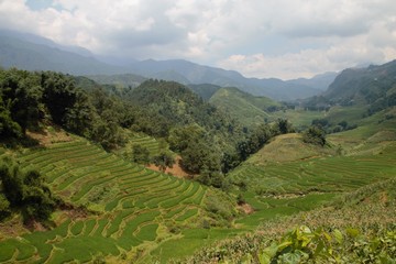 Sapa Vietnam