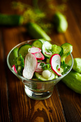 Fresh salad with cucumber and radish