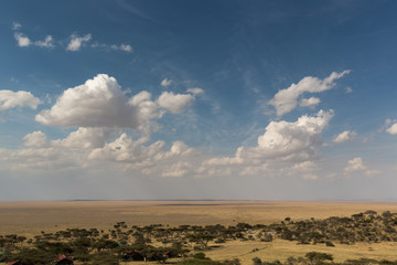 Fototapeta na wymiar Tansania - Nationalpark Serengeti