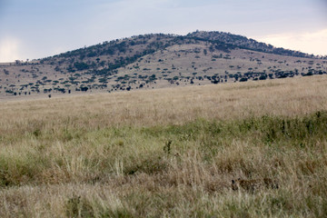 Tansania - Nationalpark Serengeti
