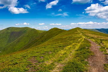 tourist footpath through mountain ridge. beautiful summer landscape under the gorgeous blue sky with some clouds