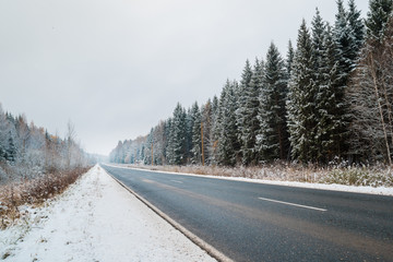 Obraz premium Road through the winter forest