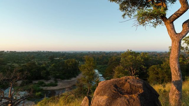 A linear timelapse at sunrise/daybreak/dawn with a granite rock boulder and Marula tree in a lush green landscape overlooking a riverbed. 