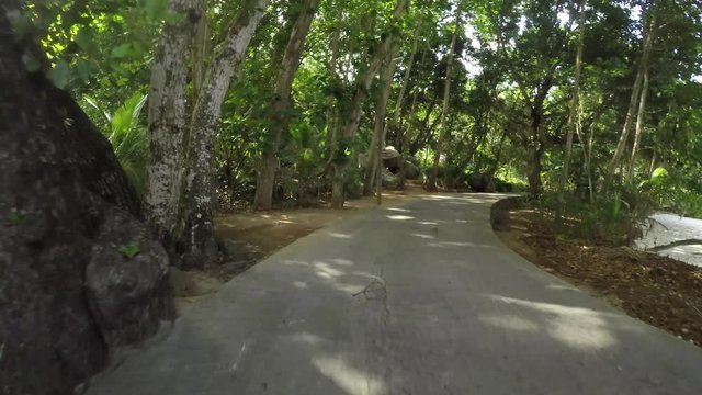 Go Pro point of view from a tourist bicycle while cycling around the island of Ladigue, Seychelles next to the ocean, through a forest/jungle. POV.  
